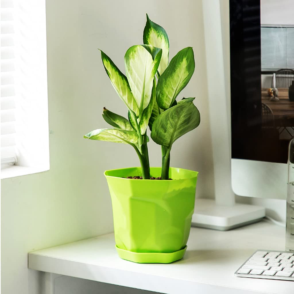 HASTHIP 6pcs Flower Pot for Home Decoration with Trays, 15 * 12.5cm Plastic Planters for Home Plants, 1.2L Plant Pot with Permeable Bottom for for Indoor, Outdoor HASTHIP 6pcs Flower Pot for Home Decoration with Trays, 15 * 12.5cm Plastic Planters for Home Plants, 1.2L Plant Pot with Permeable Bottom for for Indoor, Outdoor